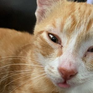 Meet your Posher, Daniela